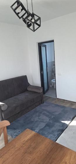 Casă cu 3 camere cu Teren 1317 Mp în Ciocănești