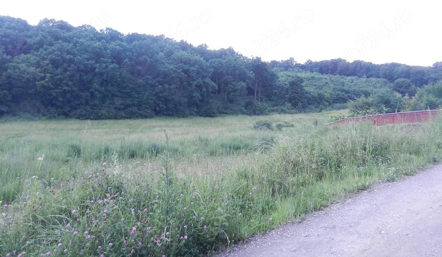 Teren de 2500 mp, în Sâncraiu de Mureș