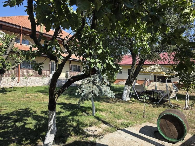 Casă cu 7 camere cu Teren 3000 Mp în Nicorești