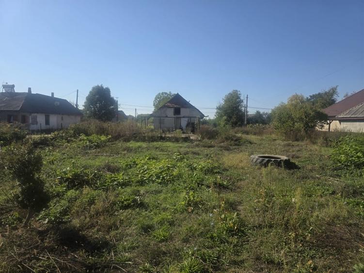 Casă individuală cu 1 camere cu Canalizare în Pomi