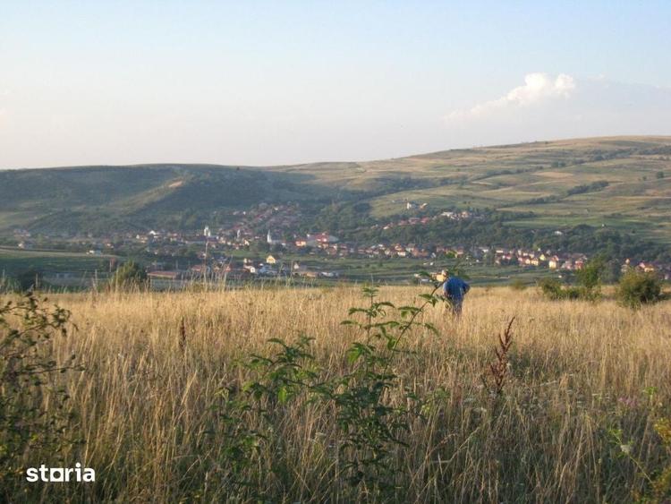 Teren de 5700 mp, în Chinteni