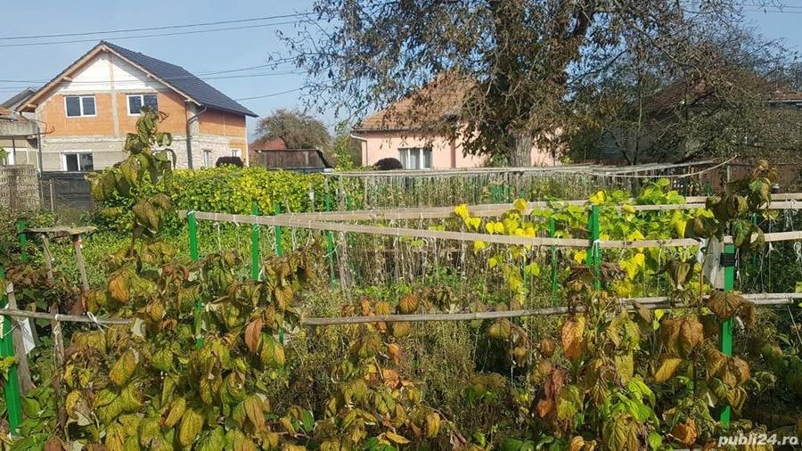 Casă cu 3 camere cu Teren 720 Mp în Simeria