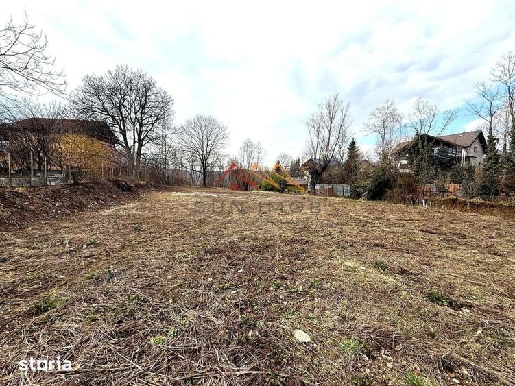 Teren intravilan 3171 mp | Cornu | 29 /mp - 6