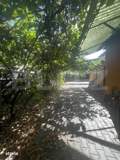 Casa de inchiriat, 50 mp, 250 mp teren, zona Centrala - 6