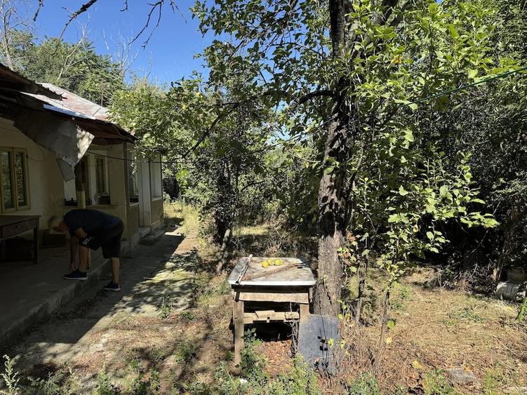 Casă în Grebănu