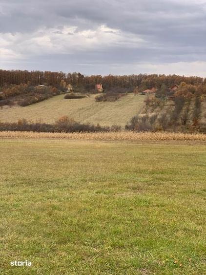 Teren intravilan Ville Satu Mare - 4