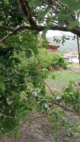 Casă cu 3 camere în Câineni