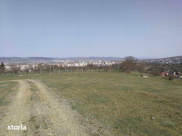 Teren de 15908 mp, în Libertății