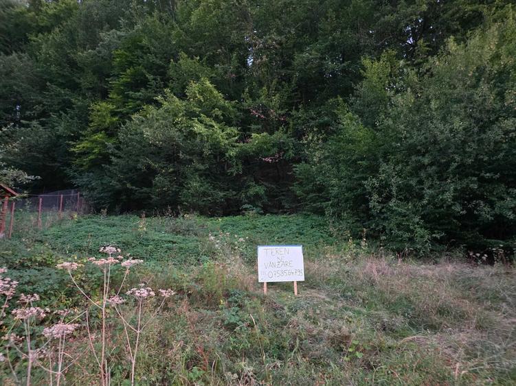 Spațiu comercial, în Pădurea Neagră
