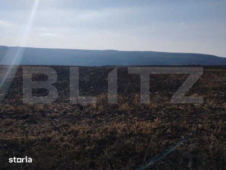Teren de 28000 mp, în Lețcani