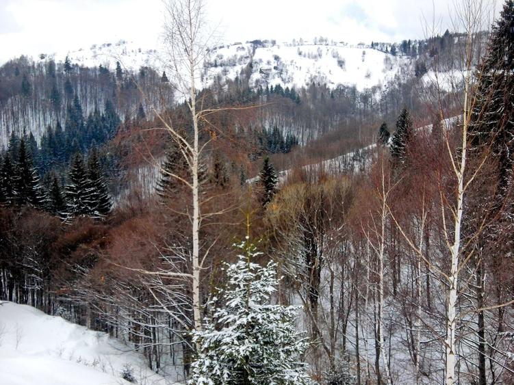 Teren Construcții intravilan de 14000 mp, în Bran