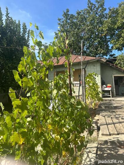 Casă cu 2 camere în Zărnești