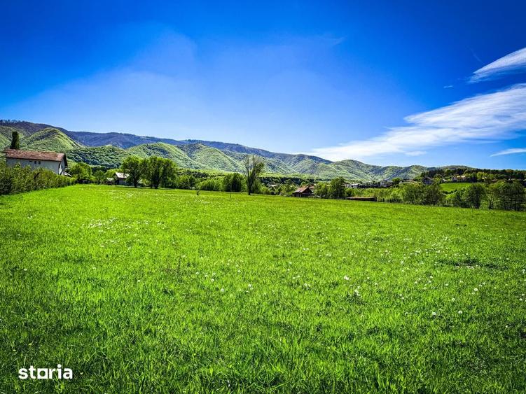 Teren de 2000 mp, în Sadu