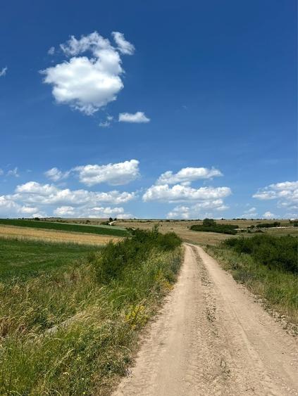 Teren de 9700 mp, în Borșa