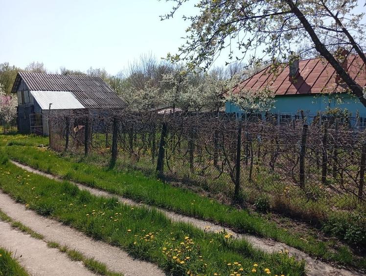 Casă cu 3 camere în Crucișoara