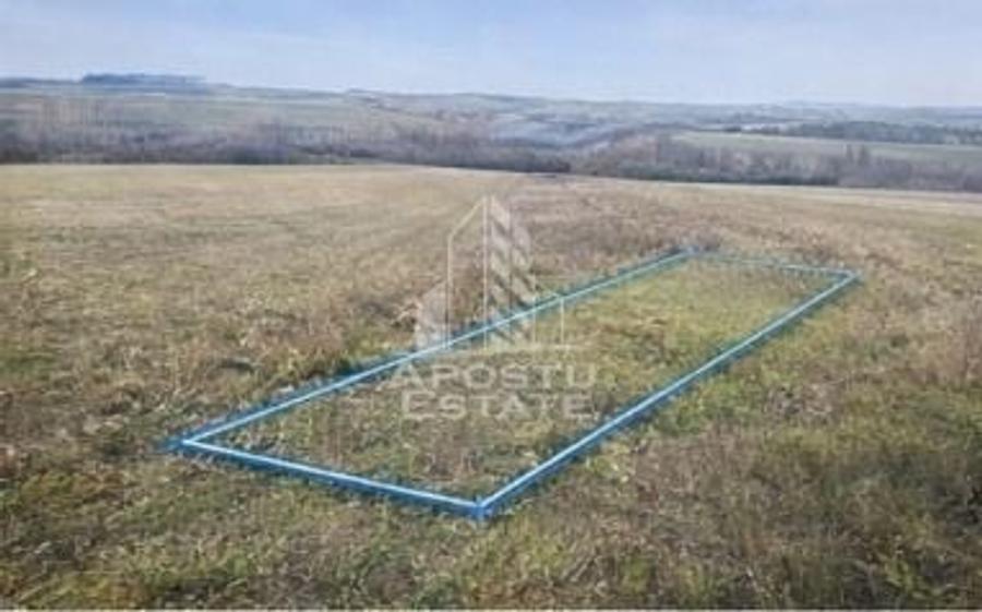 Teren agricol extravilan de 5000 mp, în Bârsa