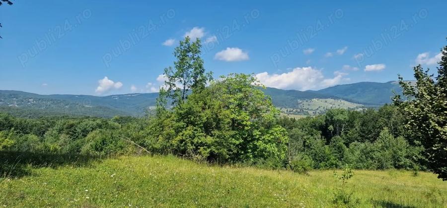 Teren de 1000 mp, în Nord