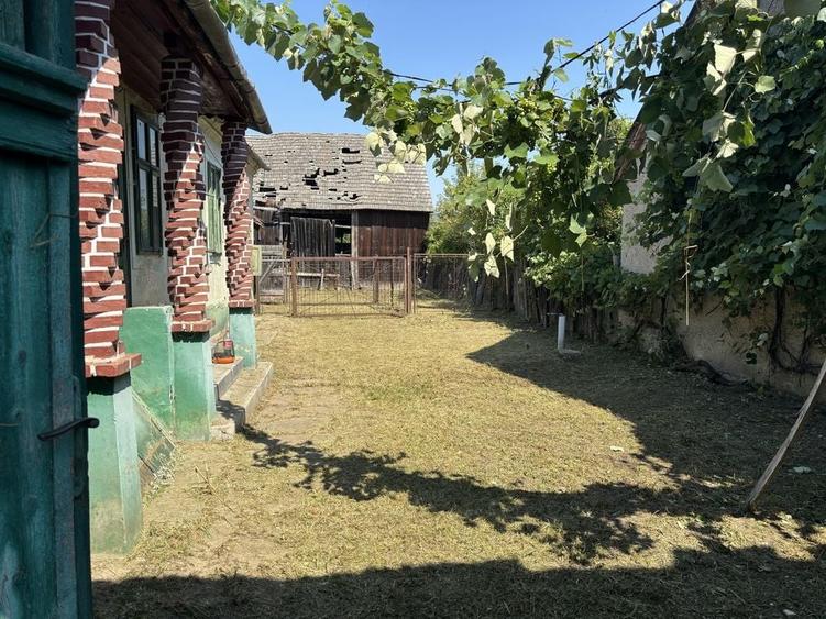 Casă cu 4 camere în Noua