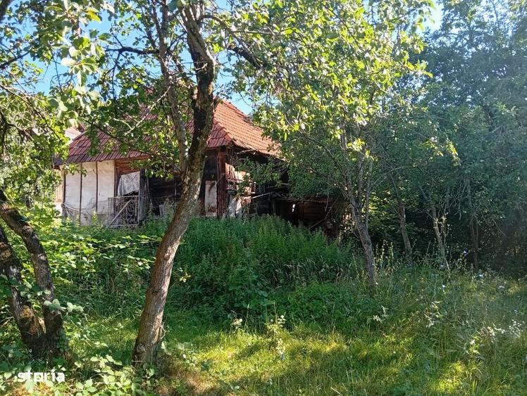 Casă cu 2 camere în Luncșoara