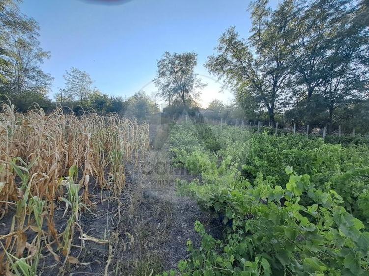 Casă individuală cu 3 camere cu Teren 4900 Mp în Băneasa