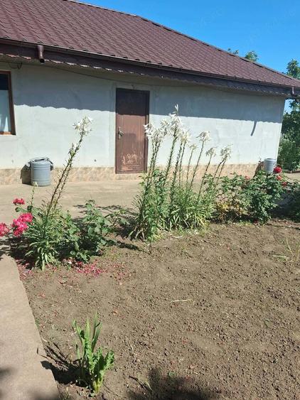 Casă cu Teren 6100 Mp în Călmățui