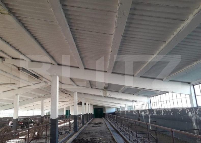 Teren Construcții intravilan de 950000 mp, în Exterior Nord