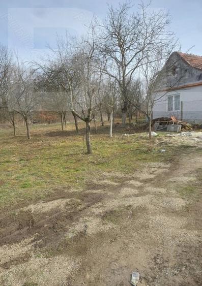 Casă individuală cu 3 camere cu Teren 900 Mp în Lugoj