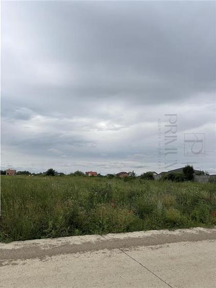 Teren- Mosnita Noua- Toate utilitatile+ strada betonata - 1