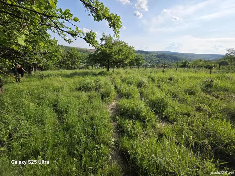 Teren de 3600 mp, în Drăgușani