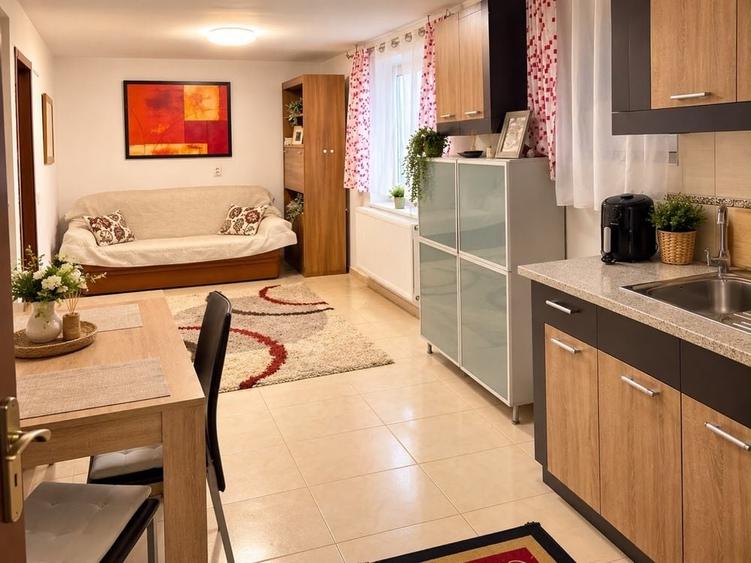 Apartament cu 2 camere în Păcurari