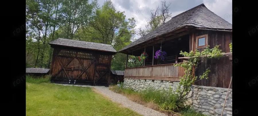 Casă cu 6 camere cu Teren 3035 Mp în Polovragi
