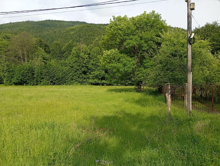 Teren Construcții intravilan de 700 mp, în Măneciu-Ungureni