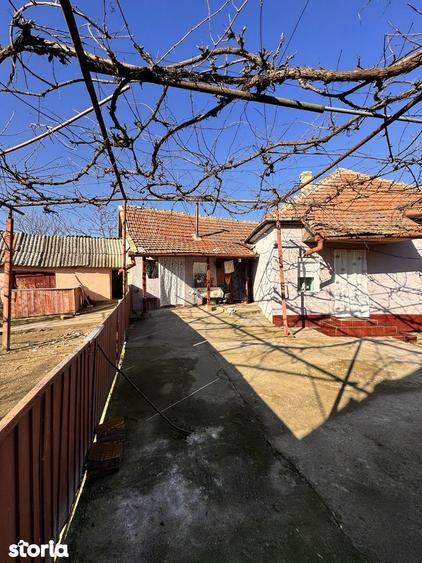 Casă cu 3 camere cu Teren 1413 Mp în Sânnicolau Român