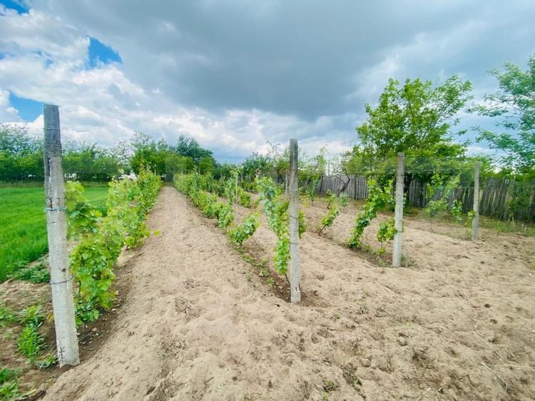 Casă individuală cu 4 camere cu Garaj în Exterior Est
