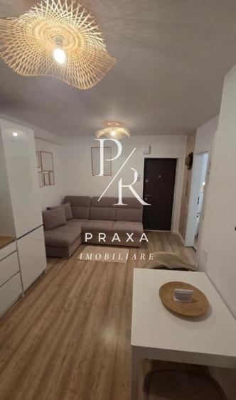 Apartament de vanzare 2 camere, complet mobilat si utilat, parcare, zona Porii! - 10