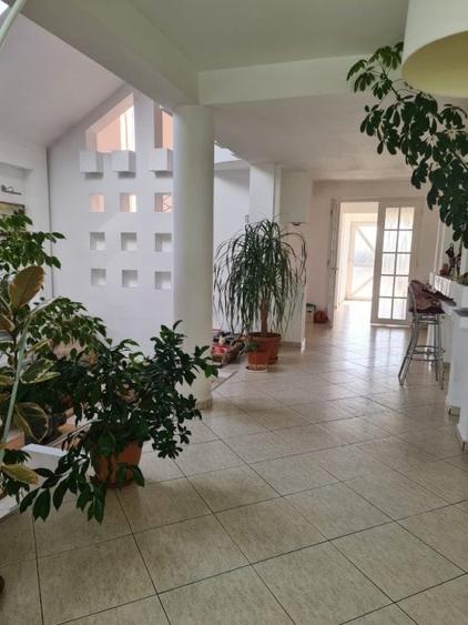 Casă individuală cu 7 camere cu Piscina în Vetiș