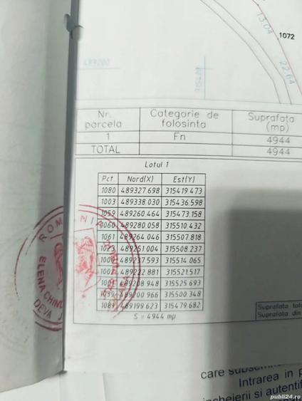 Teren de 4944 mp, în Dobra