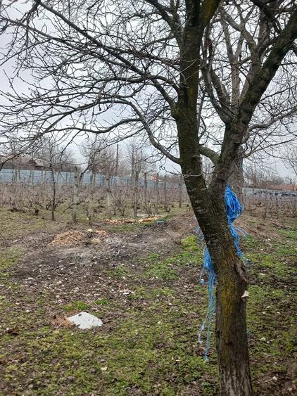 Casă cu Teren 2600 Mp în Central