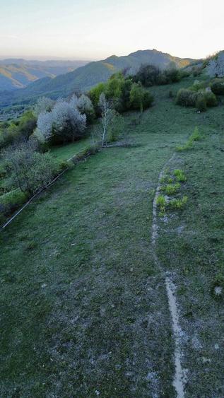 Teren de 25000 mp, în Vulcan