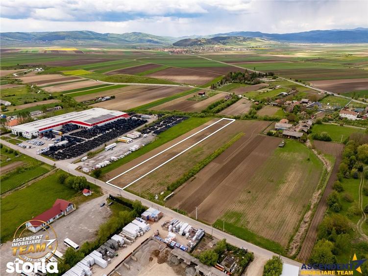 Teren de 5000 mp, în Central