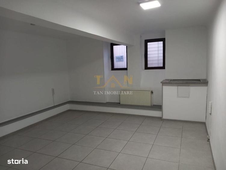 Spațiu comercial, de 100 mp, în Take Ionescu