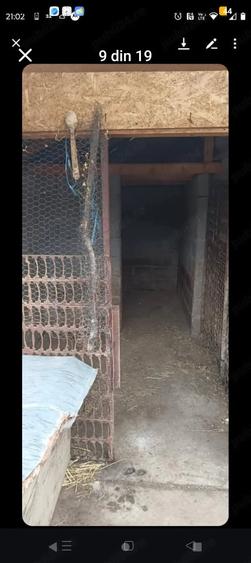 Casă cu 4 camere cu Teren 3500 Mp în Podgoria