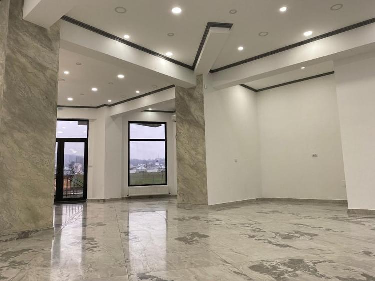 Spațiu comercial, de 113 mp, în Ostroveni