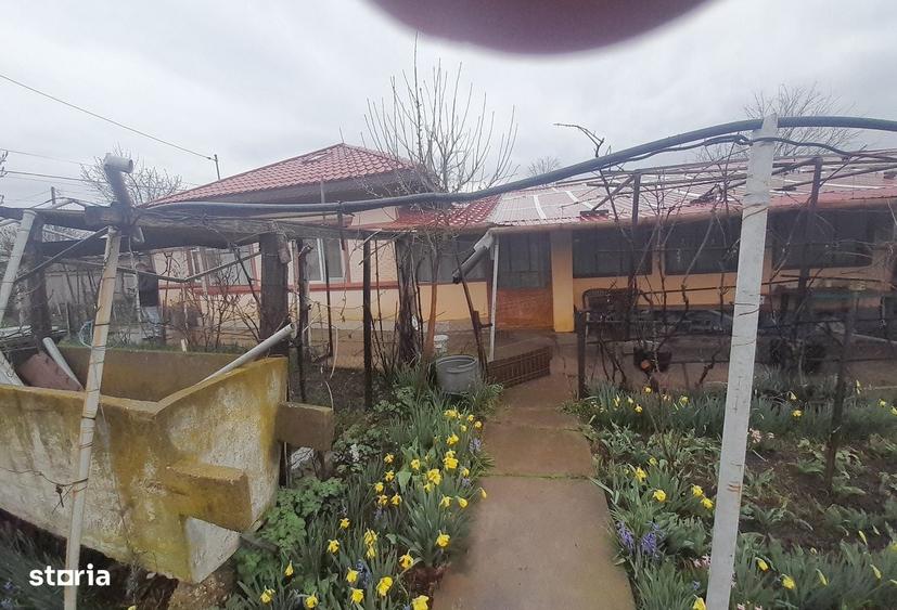 Casă cu 4 camere cu Teren 1760 Mp în Măldăeni