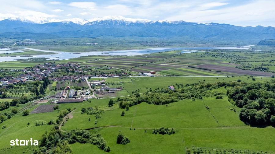 Teren 500 mp in Bradu, Sibiu 7500 Zona linistita, privelis - 1