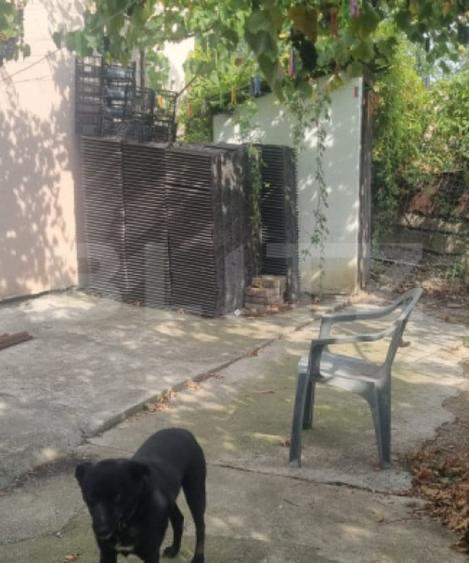 CASA CU 2 CAMERE CURTE SI GRADINA - 7