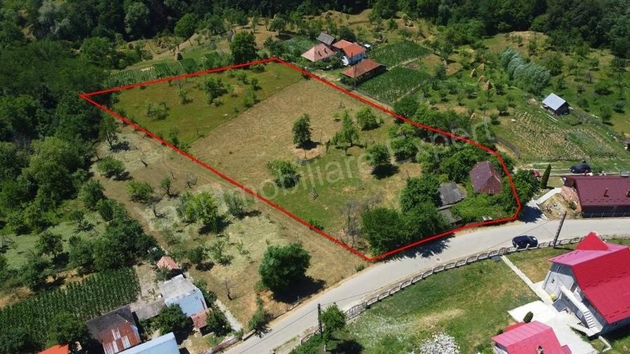 Teren de 6041 mp, în Cicănești