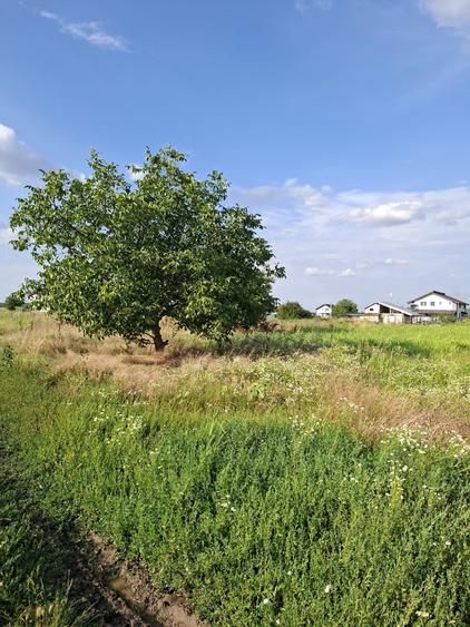 TEREN DE VANZARE - 4