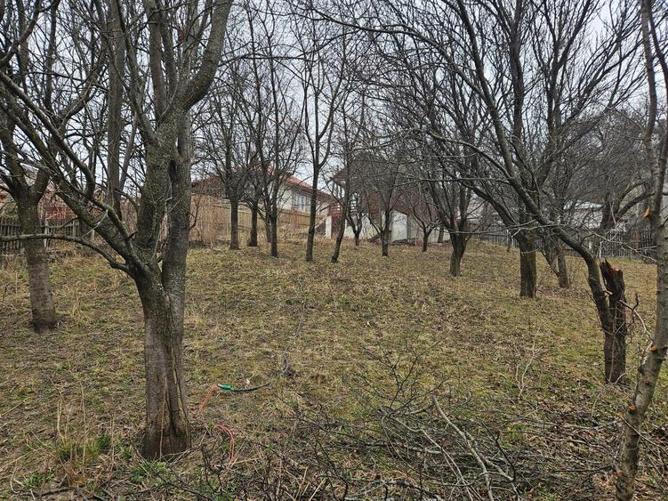 Casă cu 14 camere cu Canalizare în Central
