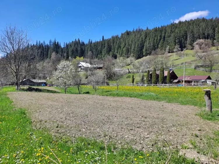 Teren de 3300 mp, în Poiana Largului